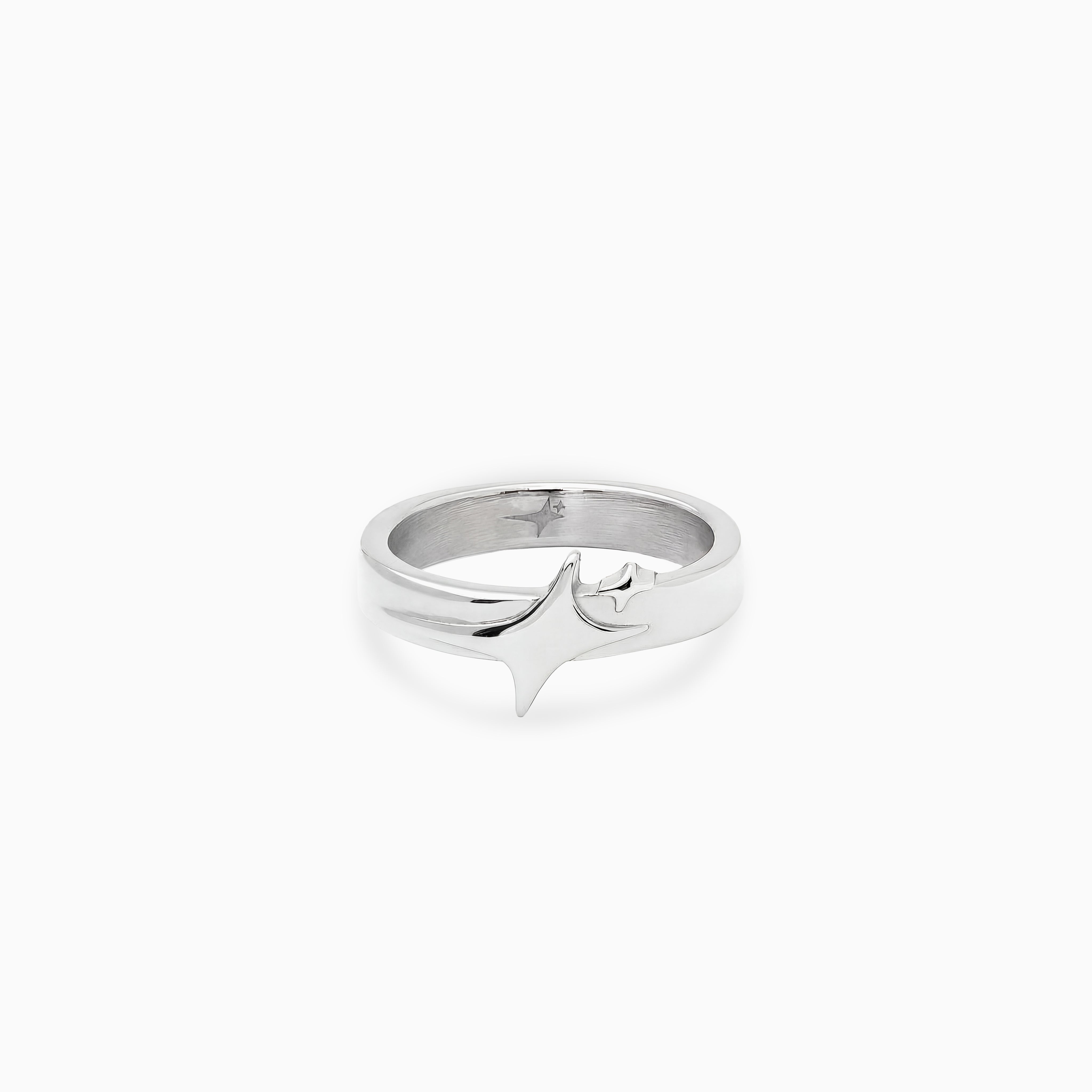 Signature ring argentée