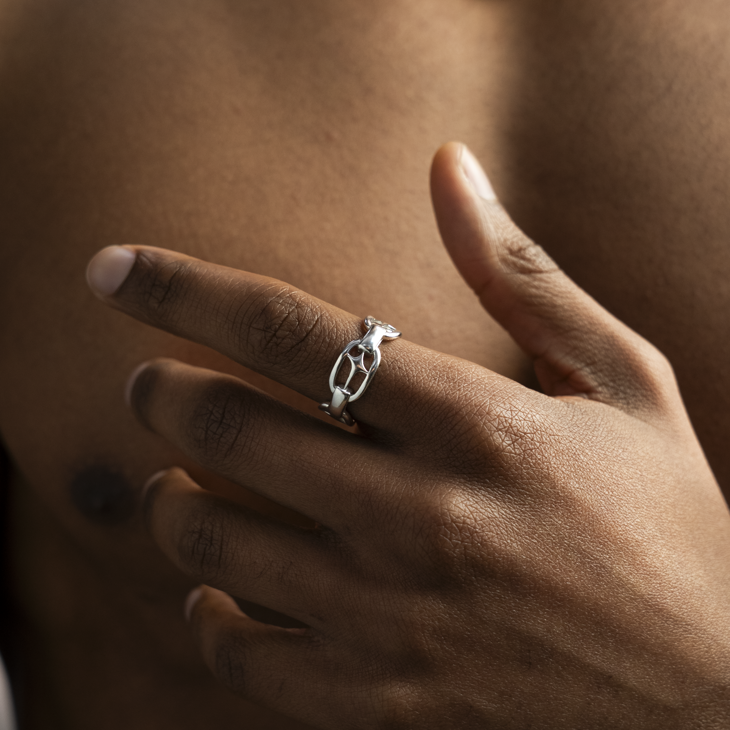 H-ring signature argentée